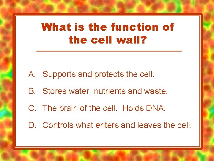 What is the function of the cell wall? A. Supports and protects the cell.