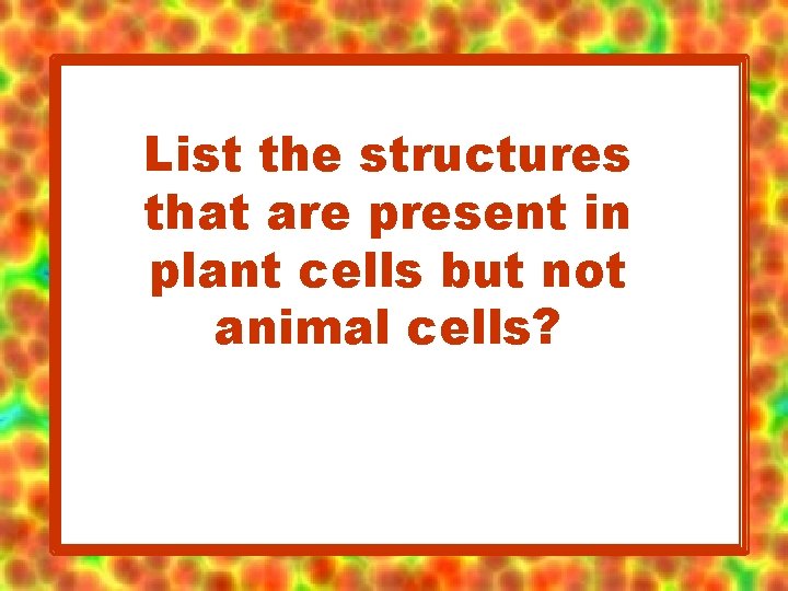 List the structures that are present in plant cells but not animal cells? 