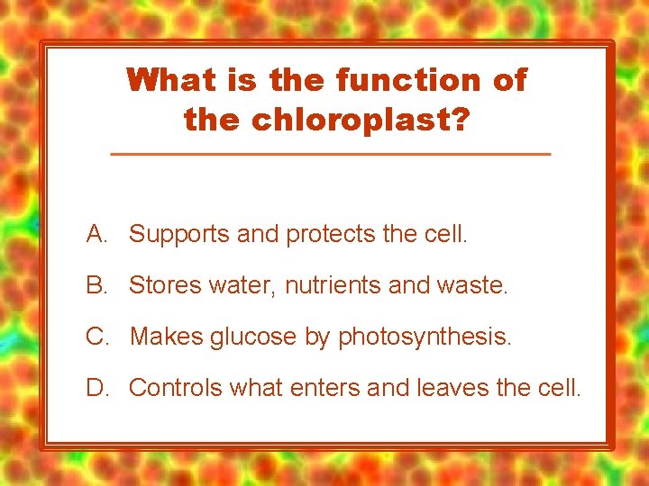 What is the function of the chloroplast? A. Supports and protects the cell. B.