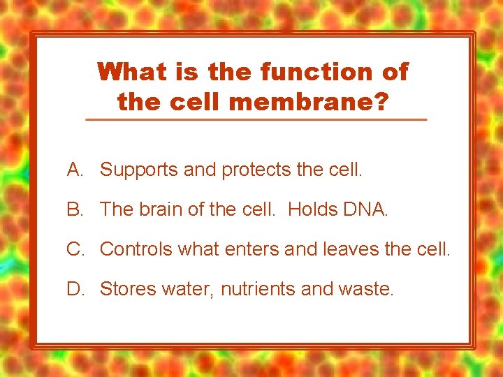 What is the function of the cell membrane? A. Supports and protects the cell.