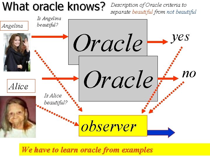 What oracle knows? Angelina Description of Oracle criteria to separate beautiful from not beautiful