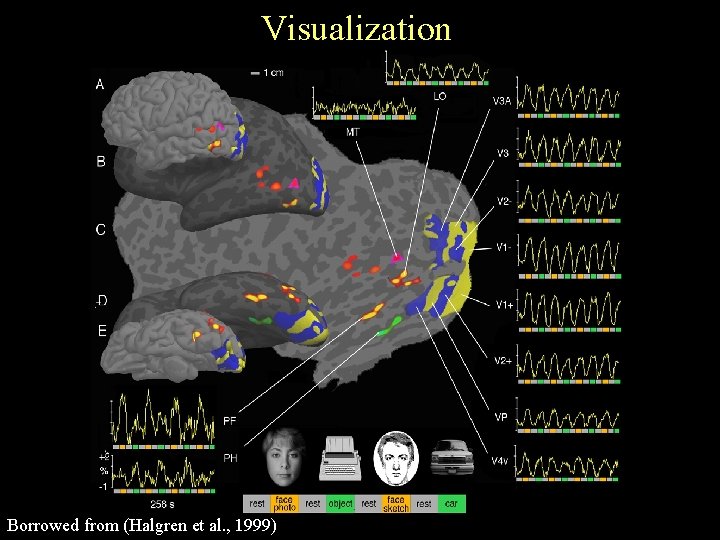 Visualization Borrowed from (Halgren et al. , 1999) 