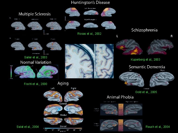 Rosas et al. , 2002 Sailer et al. , 2003 Kuperberg et al. ,