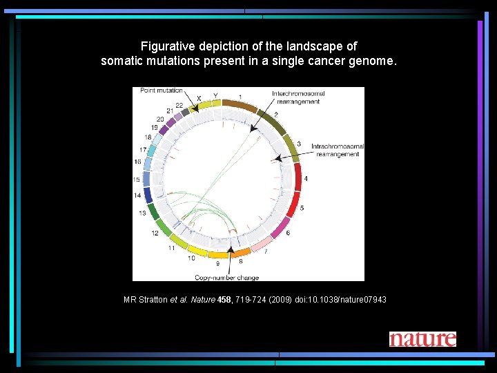 Figurative depiction of the landscape of somatic mutations present in a single cancer genome.