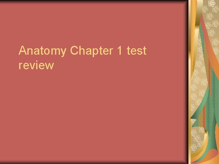 Anatomy Chapter 1 test review 