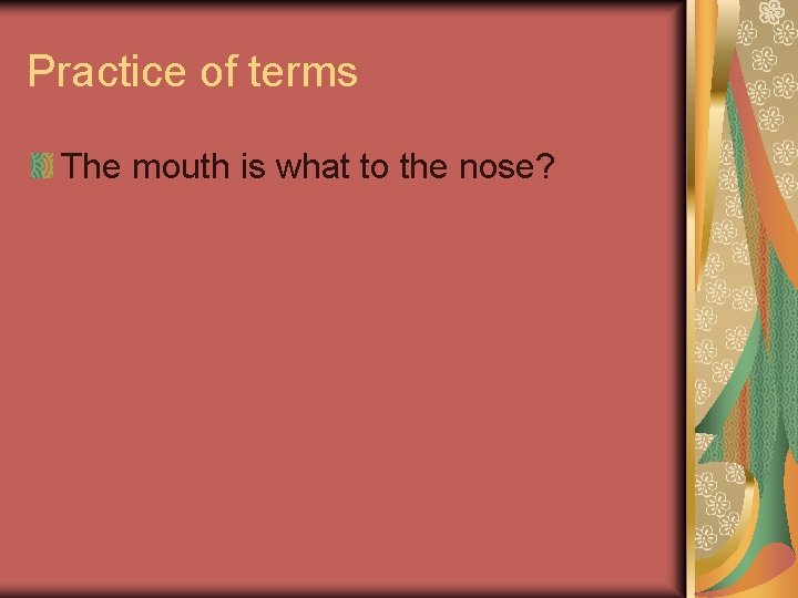Practice of terms The mouth is what to the nose? 