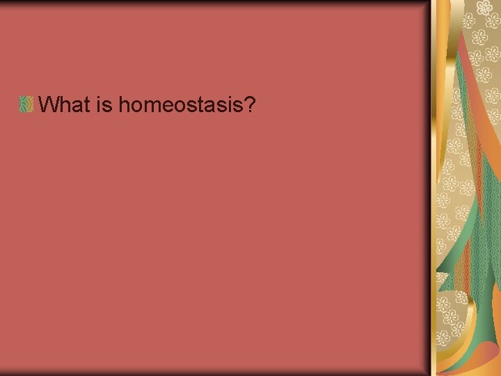 What is homeostasis? 