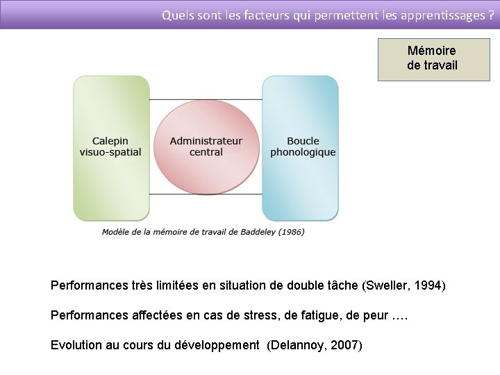 Quels sont les facteurs qui permettent les apprentissages ? Mémoire de travail Performances très