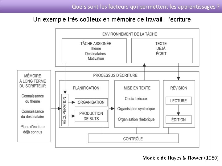 Quels sont les facteurs qui permettent les apprentissages ? Un exemple très coûteux en