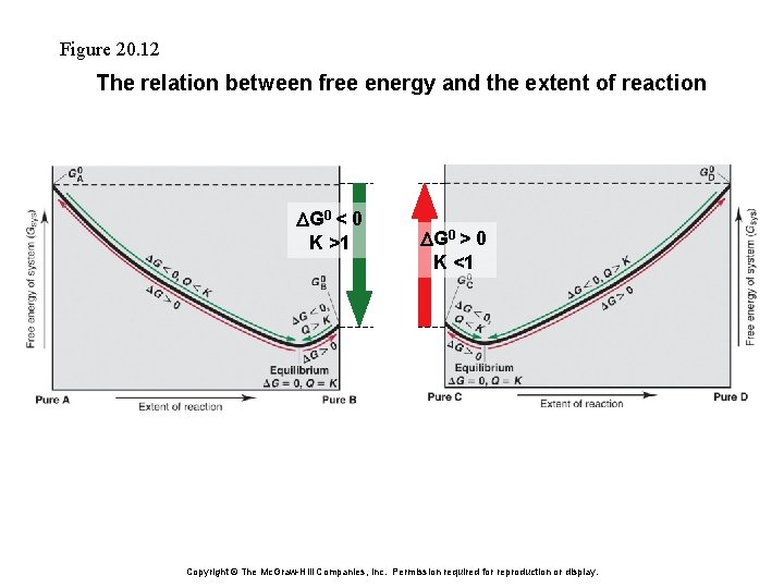 Figure 20. 12 The relation between free energy and the extent of reaction DG