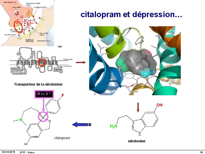 citalopram et dépression… Transporteur de la sérotonine R ou S ? citalopram 22 -04