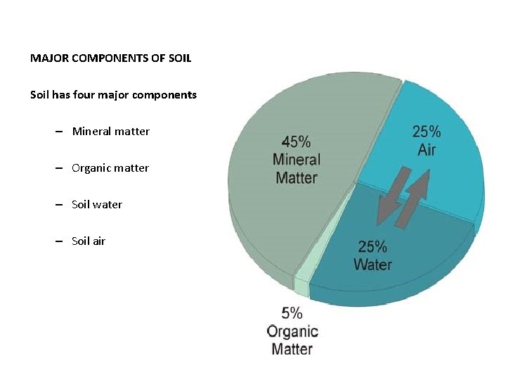 MAJOR COMPONENTS OF SOIL Soil has four major components – Mineral matter – Organic