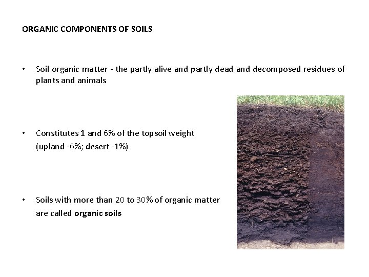 ORGANIC COMPONENTS OF SOILS • Soil organic matter - the partly alive and partly