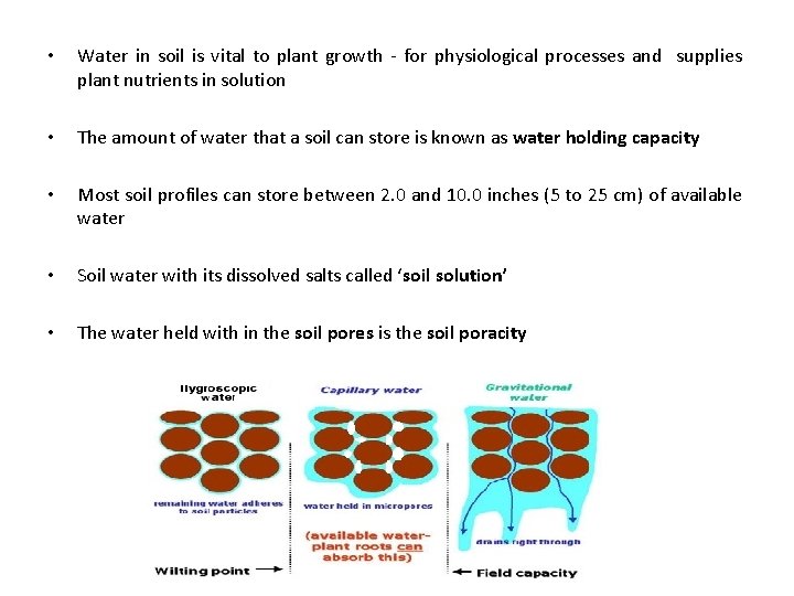  • Water in soil is vital to plant growth - for physiological processes