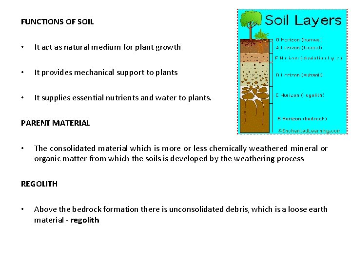 FUNCTIONS OF SOIL • It act as natural medium for plant growth • It