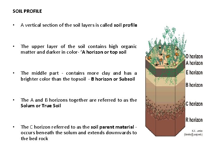 SOIL PROFILE • A vertical section of the soil layers is called soil profile