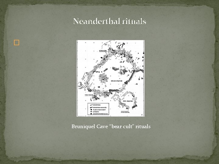 Neanderthal rituals � Bruniquel Cave “bear cult” rituals 