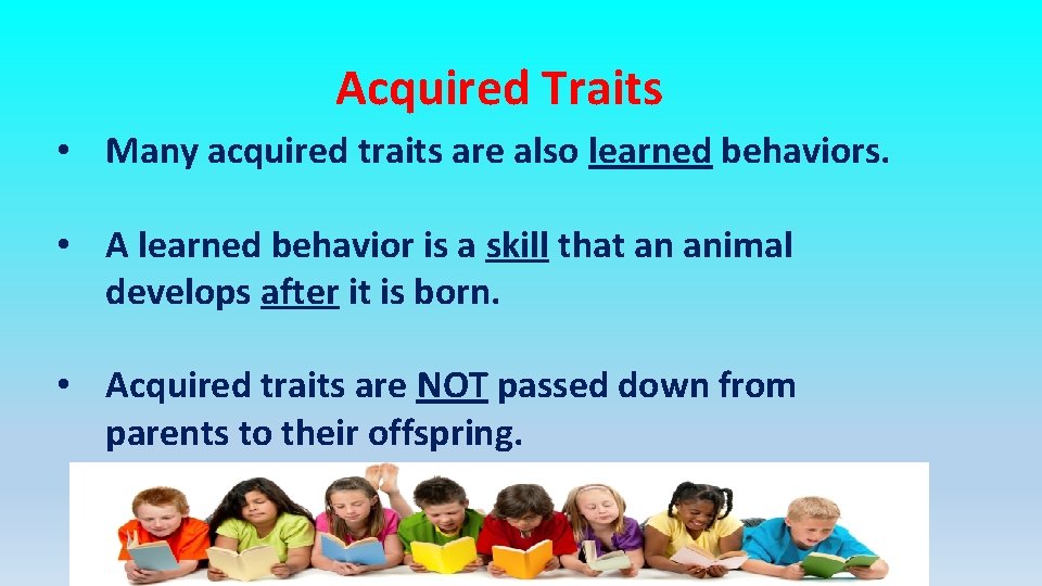 Acquired Traits • Many acquired traits are also learned behaviors. • A learned behavior