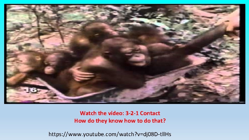 Watch the video: 3 -2 -1 Contact How do they know how to do