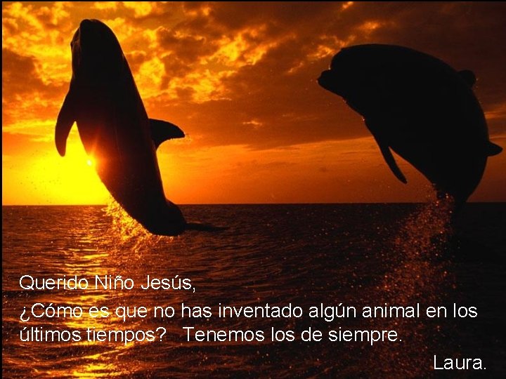 Querido Niño Jesús, ¿Cómo es que no has inventado algún animal en los últimos