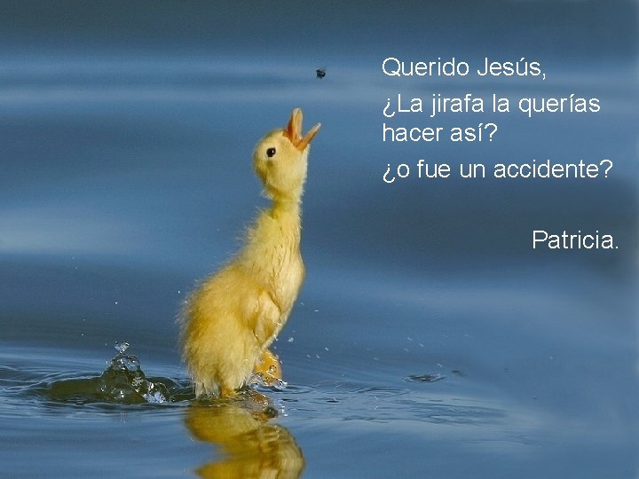 Querido Jesús, ¿La jirafa la querías hacer así? ¿o fue un accidente? Patricia. 