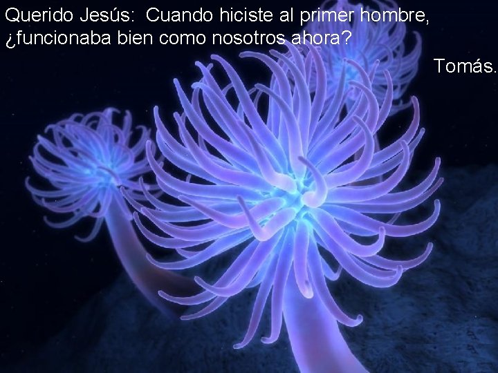 Querido Jesús: Cuando hiciste al primer hombre, ¿funcionaba bien como nosotros ahora? Tomás. 