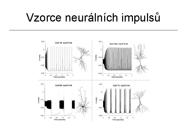 Vzorce neurálních impulsů 