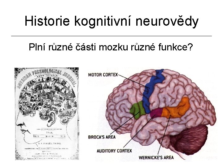 Historie kognitivní neurovědy Plní různé části mozku různé funkce? 