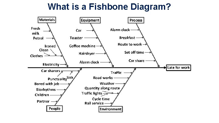 What is a Fishbone Diagram? 