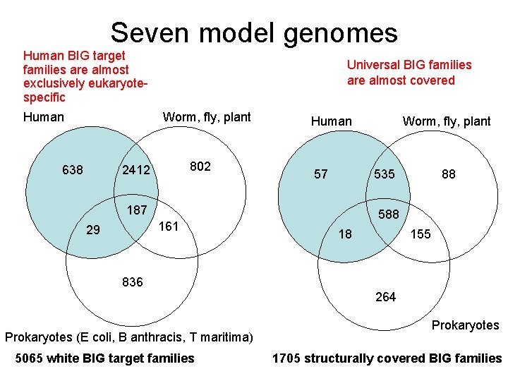 Seven model genomes Human BIG target families are almost exclusively eukaryotespecific Human Universal BIG