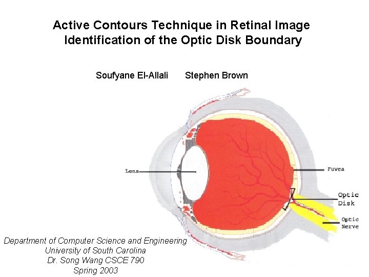 Active Contours Technique in Retinal Image Identification of the Optic Disk Boundary Soufyane El-Allali