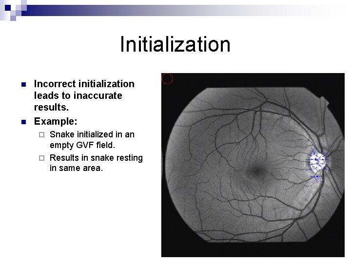 Initialization n n Incorrect initialization leads to inaccurate results. Example: Snake initialized in an