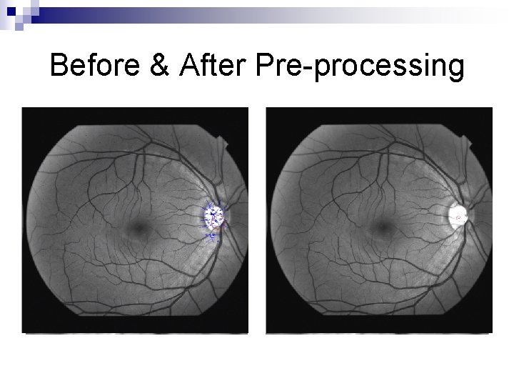 Before & After Pre-processing 