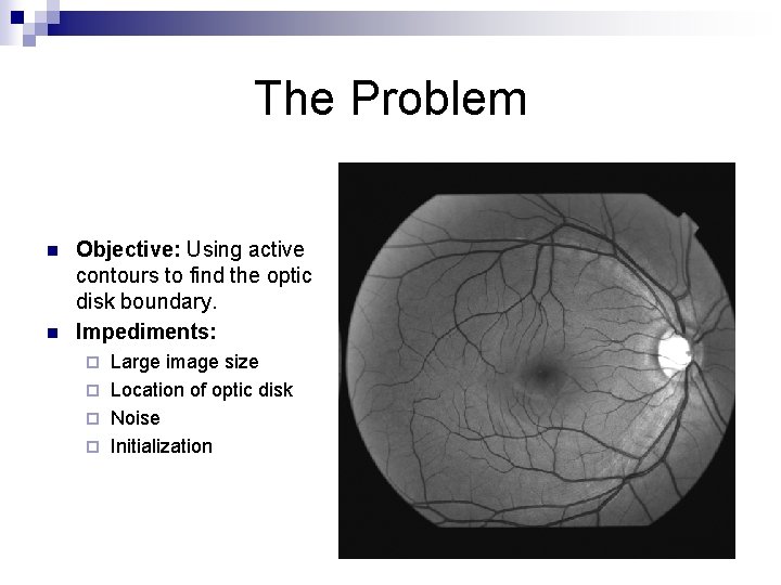 The Problem n n Objective: Using active contours to find the optic disk boundary.