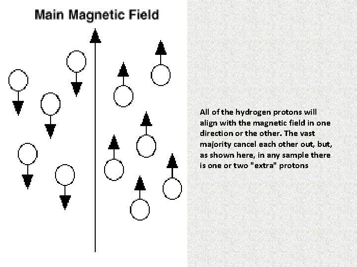 All of the hydrogen protons will align with the magnetic field in one direction