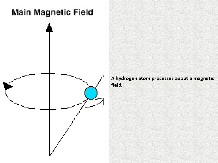 A hydrogen atom processes about a magnetic field. 