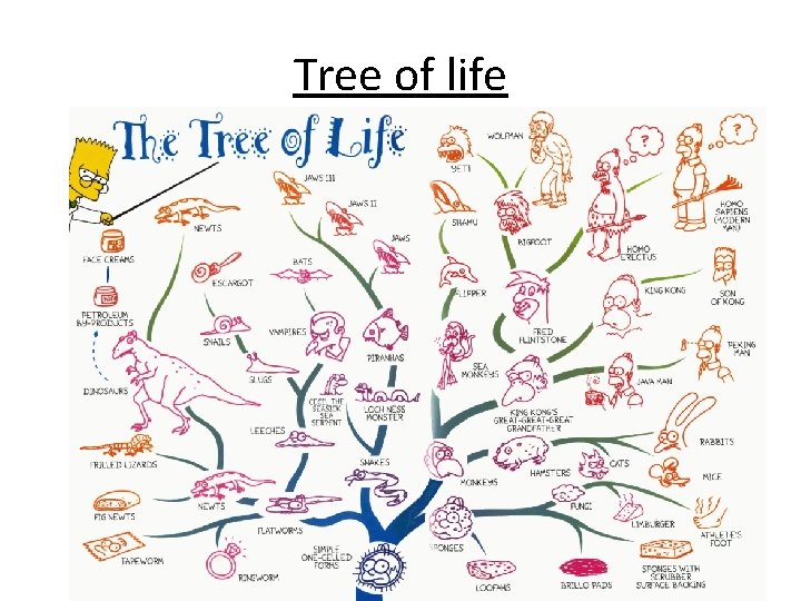 Tree of life Tree of life