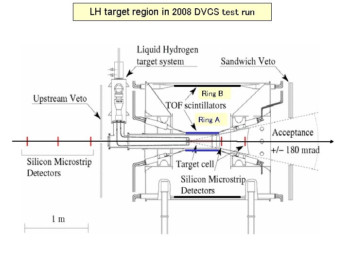 LH target region in 2008 DVCS test run Ring B Ring A 