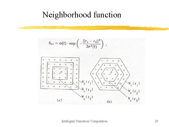 Neighborhood function Intelligent Numerical Computation 29 