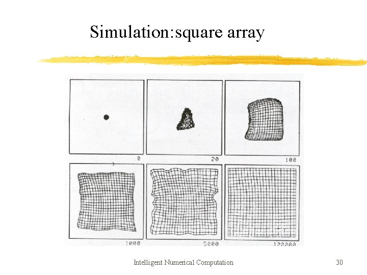 Simulation: square array Intelligent Numerical Computation 30 
