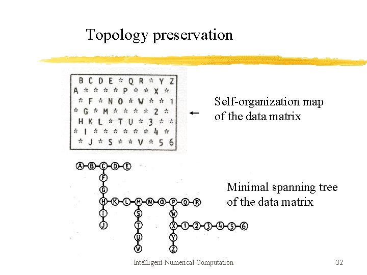 Topology preservation Self-organization map of the data matrix Minimal spanning tree of the data
