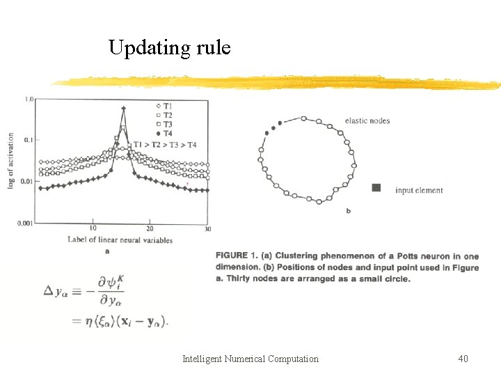 Updating rule Intelligent Numerical Computation 40 