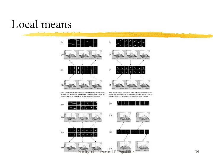 Local means Intelligent Numerical Computation 54 