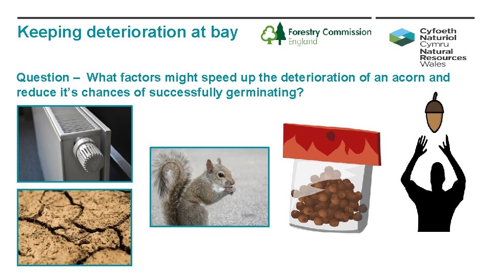 Keeping deterioration at bay Question – What factors might speed up the deterioration of