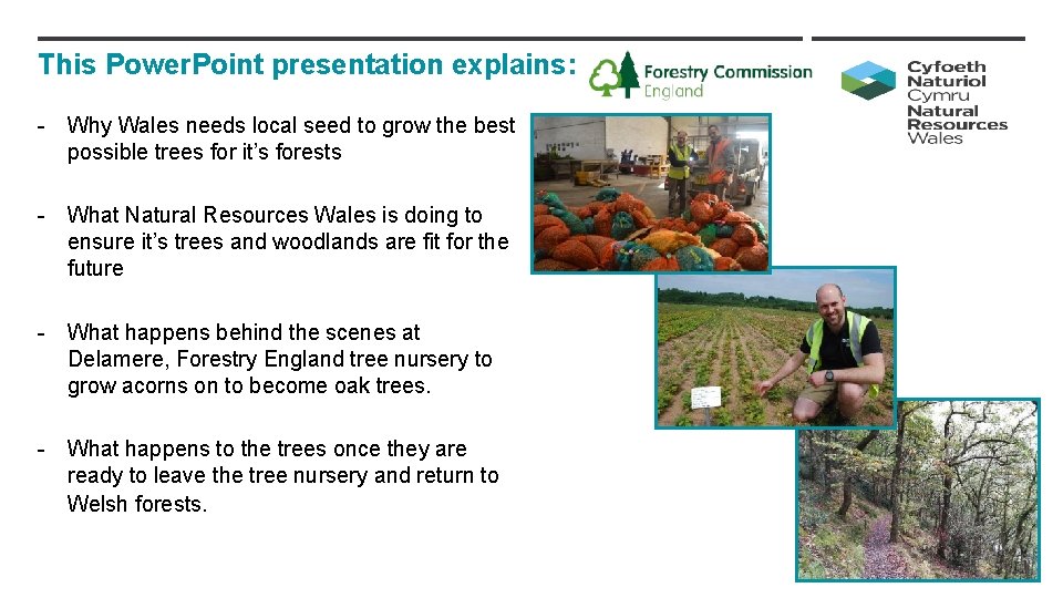 This Power. Point presentation explains: - Why Wales needs local seed to grow the