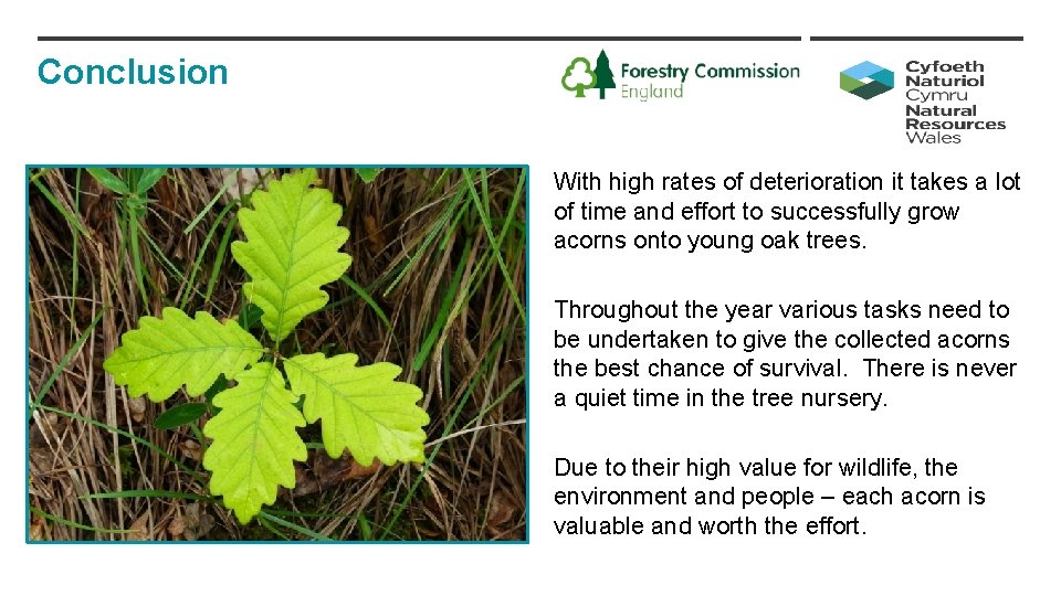 Conclusion With high rates of deterioration it takes a lot of time and effort Conclusion With high rates of deterioration it takes a lot of time and effort