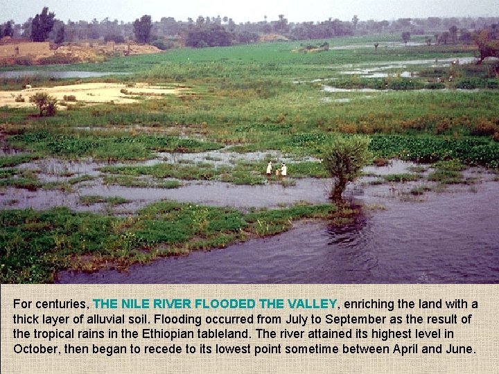 For centuries, THE NILE RIVER FLOODED THE VALLEY, enriching the land with a thick