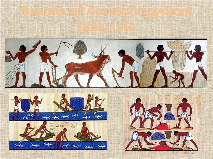 Scenes of Ancient Egyptian Daily Life 