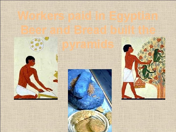 Workers paid in Egyptian Beer and Bread built the pyramids 
