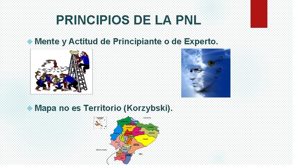 PRINCIPIOS DE LA PNL Mente Mapa y Actitud de Principiante o de Experto. no